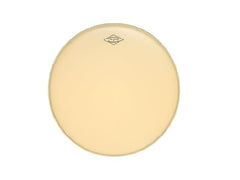 Peau de batterie Aquarian 16" moderne et vintage
